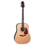 DG405S Акустическая гитара Naranda