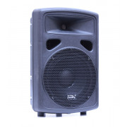 FP0210 Пассивная акустическая система, 200Вт, Soundking