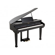 438PIA0634 Grand 120 Цифровой рояль, с автоаккомпанементом, черный, Orla