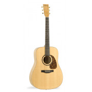 021390 Studio B50 TRIC Акустическая гитара, с футляром, Norman