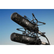МК-220-Ч-С Микрофон конденсаторный, мультидиаграммный, стереопара, черный, Октава