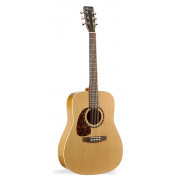 021123 Protege B18 Cedar Left Акустическая гитара, леворукая, Norman