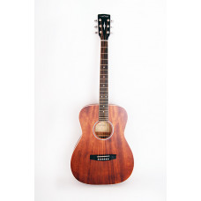 PF51M-OP Акустическая гитара с чехлом, Parkwood