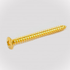 Саморез Hosco для крепления грифа, 4х45мм, золото (TS-03G) 