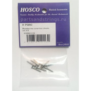 Шурупы для крепления рамок HOSCO (H-PS09C)