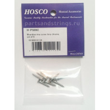 Шурупы для крепления рамок HOSCO (H-PS09C)