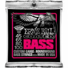Струны Ernie Ball Coated Slinky Bass 45-100 (3834)