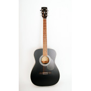 PF51-BKS Акустическая гитара с чехлом, Parkwood