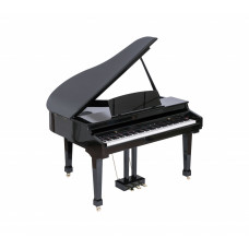 438PIA0631 Grand 500 Цифровой рояль, с автоаккомпанементом, черный, Orla