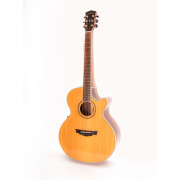 PW-570 Акустическая гитара, с чехлом, Parkwood