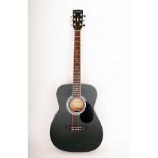 PF51E-BKS Электро-акустическая гитара с чехлом, Parkwood