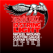 Струны Ernie Ball Light 12-String 9-46 (2233)
