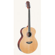 F665CEQ Электро-акустическая гитара, джамбо, Caraya