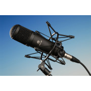 МК-419-Ч Микрофон конденсаторный, черный, в ФДМ, Октава