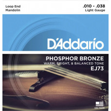 EJ73 Комплект струн для мандолины, фосф.бронза, Light, 10-38, D'Addario