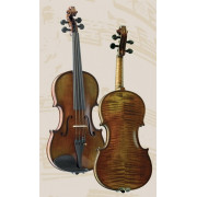 P-V044-F Professional Gama Special Скрипка 4/4, Gliga
